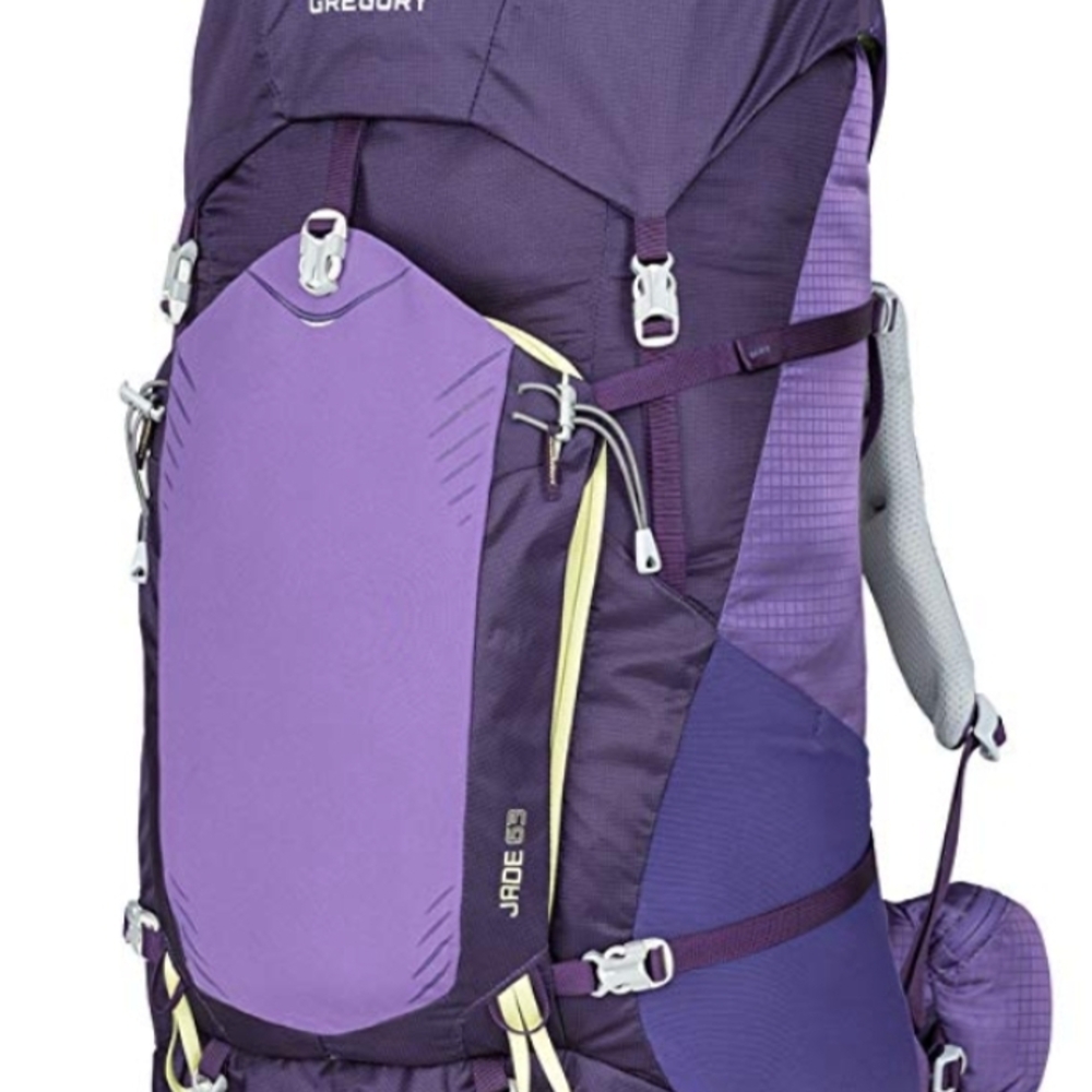 Gregory Women's Purple Backpack